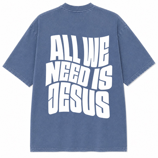 All We Need Is Jesus T-Shirt