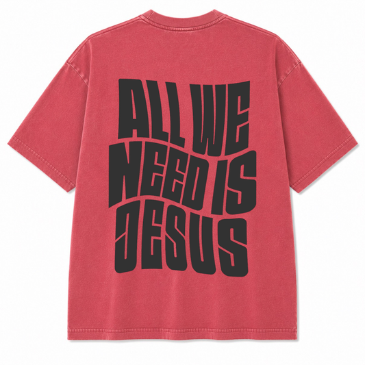 All We Need Is Jesus T-Shirt