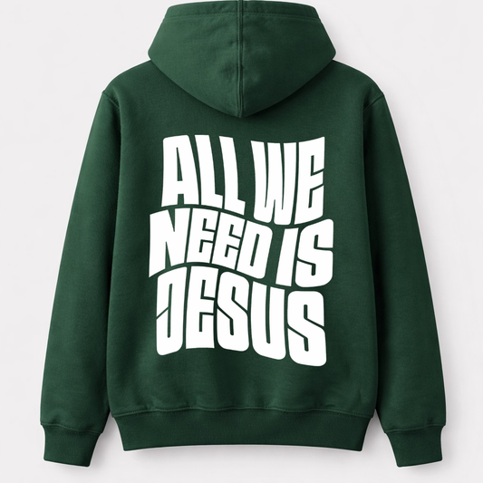 All We Need Is Jesus Hoodie